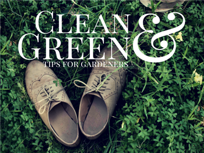 canva-clean-green_New